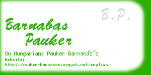 barnabas pauker business card